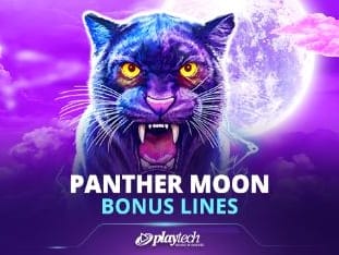 Panther Moon_ Bonus Lines™ game thumbnail